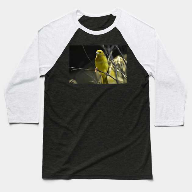 Yellow Bird Baseball T-Shirt by MarieDarcy